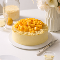 CAKE 6